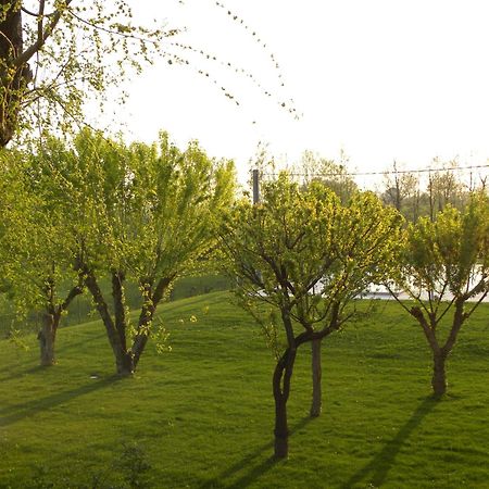 פוזולנגו Agriturismo Feliciana מראה חיצוני תמונה