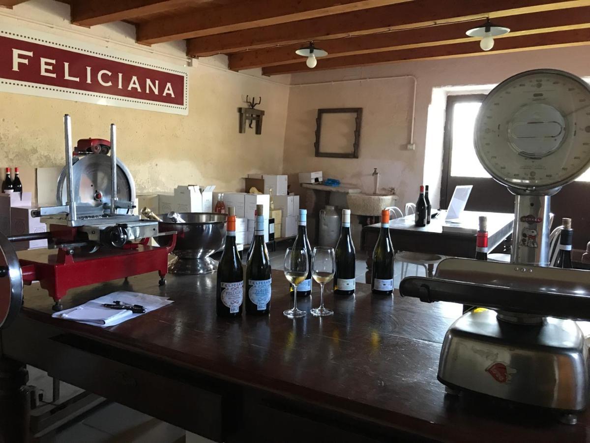 פוזולנגו Agriturismo Feliciana מראה חיצוני תמונה