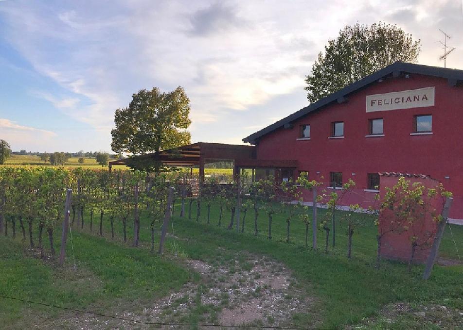 פוזולנגו Agriturismo Feliciana מראה חיצוני תמונה