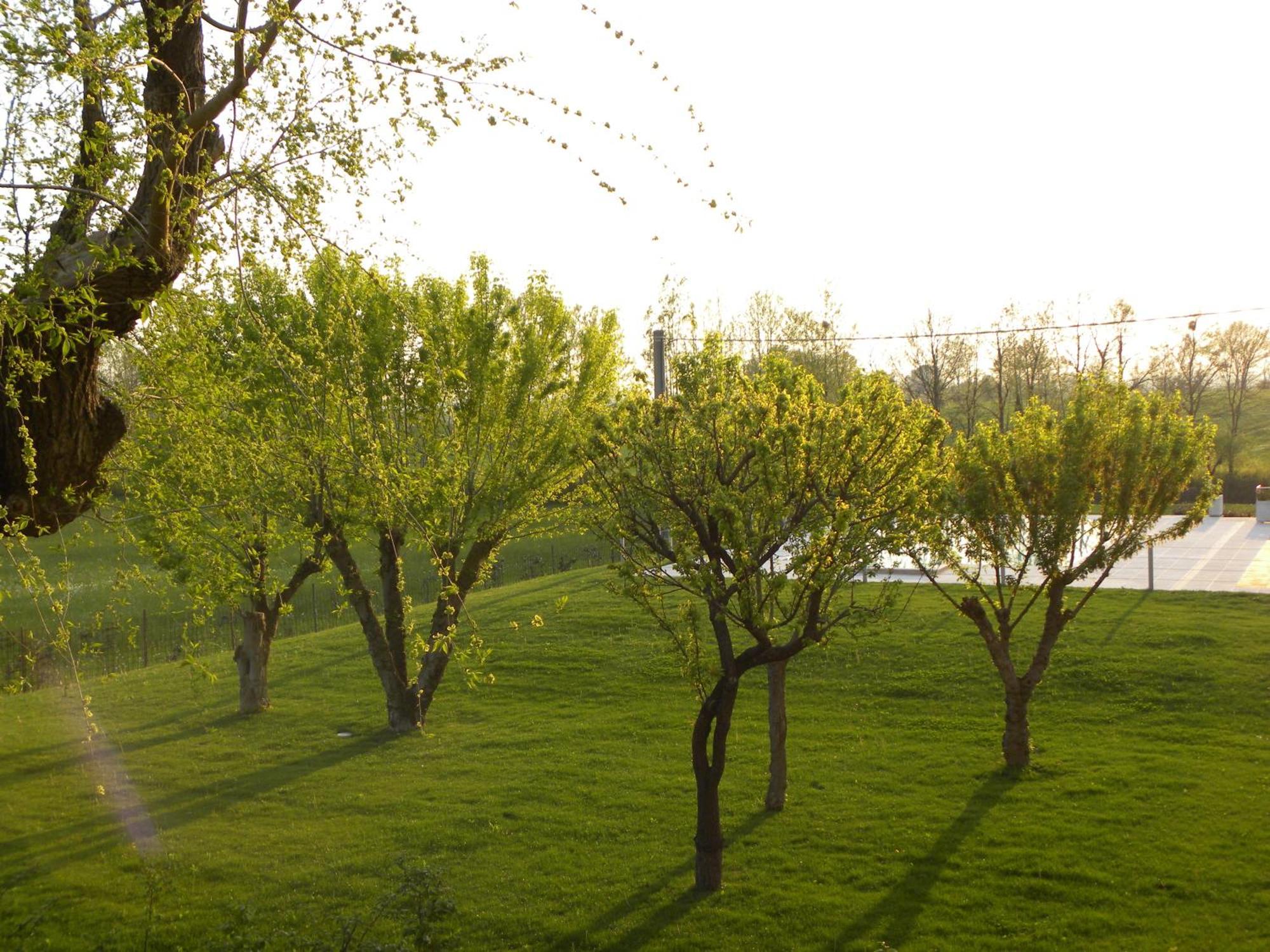 פוזולנגו Agriturismo Feliciana מראה חיצוני תמונה